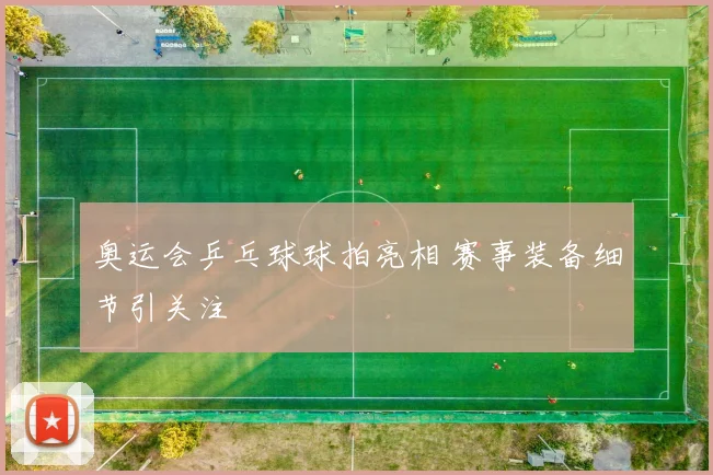 奥运会乒乓球球拍亮相 赛事装备细节引关注