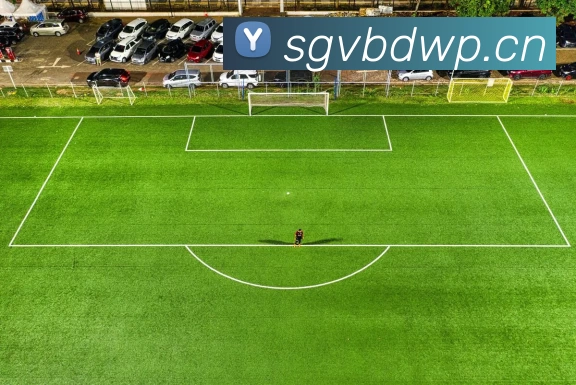 九游j9官方网页版入口 - Jiuyou j9(中国)平台生态图